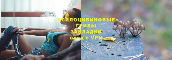 не бодяженный Иннополис