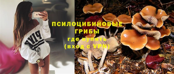 не бодяженный Иннополис