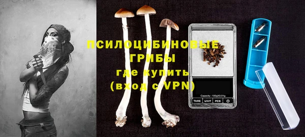 не бодяженный Иннополис