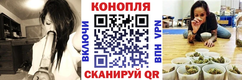 Шишки марихуана гибрид дарк нет формула Нолинск где купить